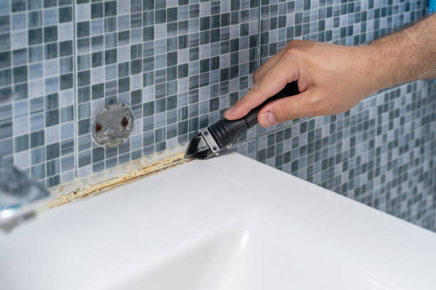 Best Bathroom Mold Remediation in Lackawanna, NY